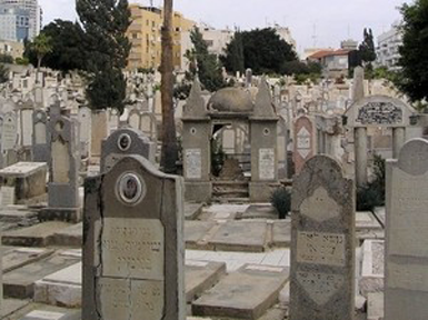 סיור בבית הקברות טרומפלדור